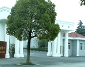 上海市松江区精神卫生中心