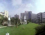 中南大学附属湘雅三医院